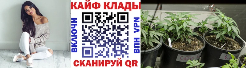 Наркота Певек ГАШИШ  Alpha-PVP  БУТИРАТ  МАРИХУАНА  блэк спрут онион  Кокаин  Мефедрон  АМФ 