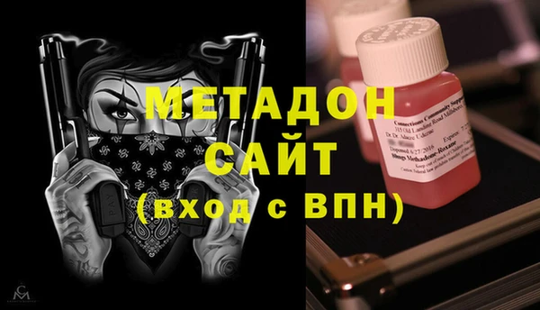 индика Богородицк