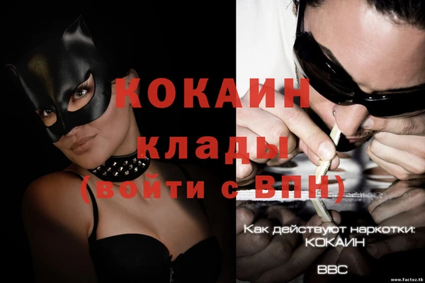 дживик Богданович