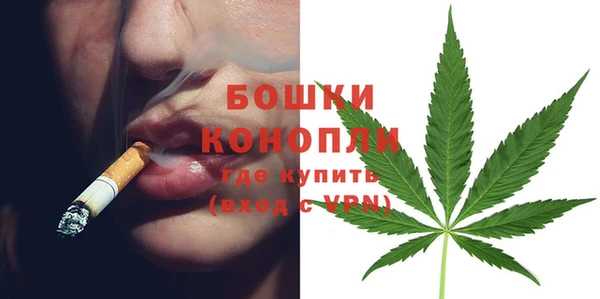 индика Богородицк