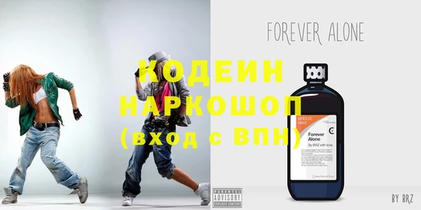индика Богородицк
