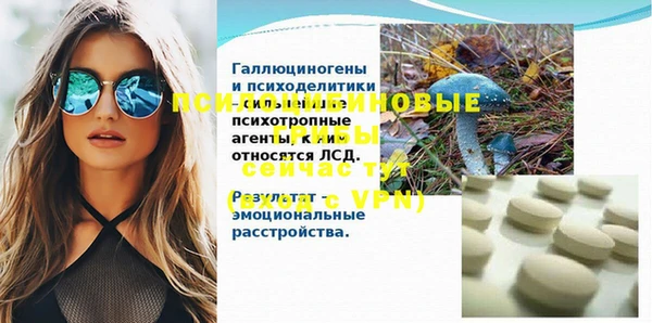 дживик Богданович