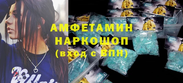 индика Богородицк