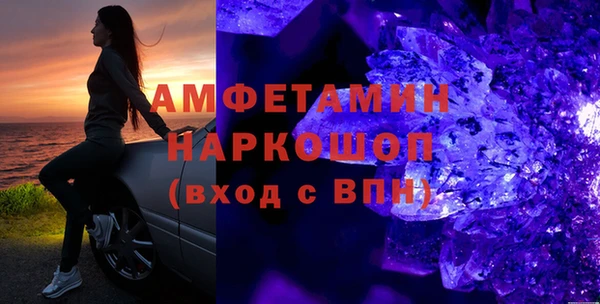 индика Богородицк