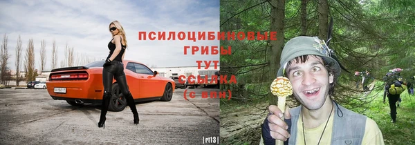 индика Богородицк