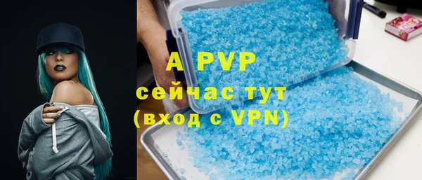 индика Богородицк