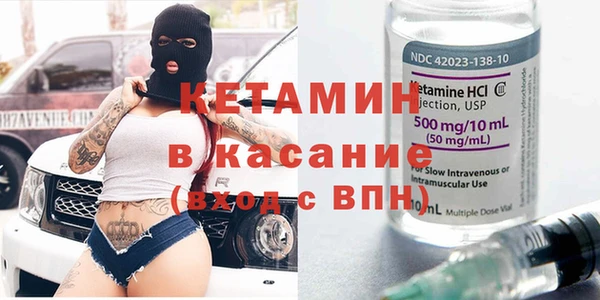 индика Богородицк