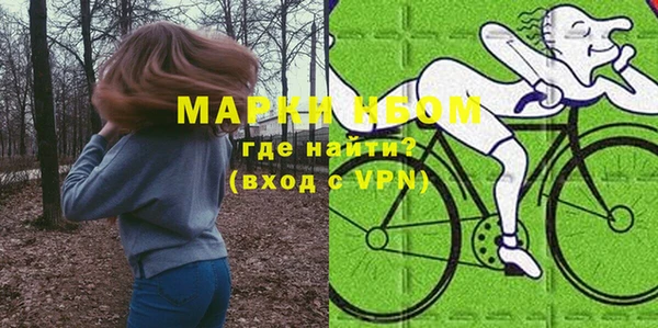 индика Богородицк
