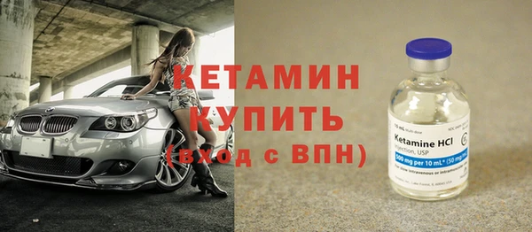 индика Богородицк