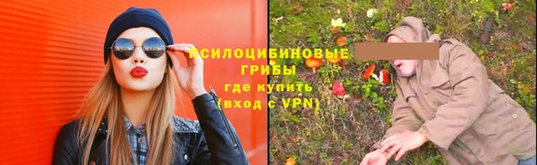 эйфоретик Богородск